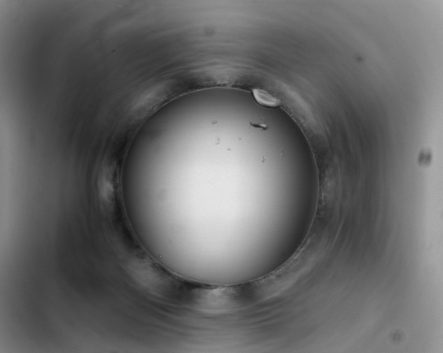 X0000103160122200808221403