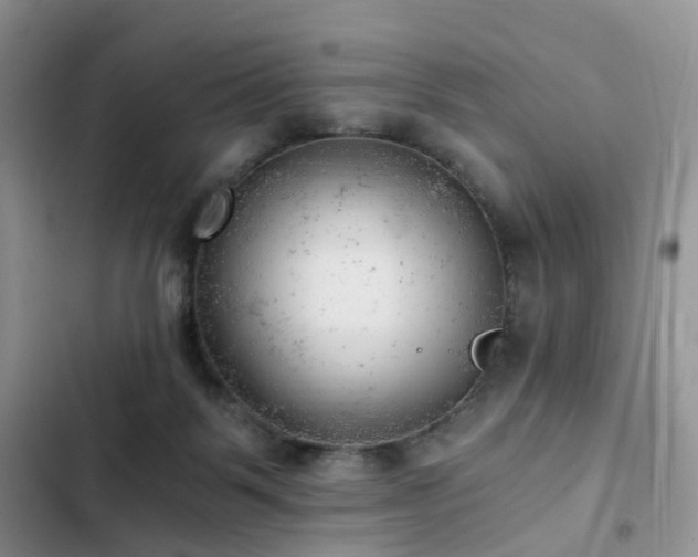 X0000103160123200808221403