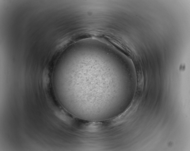 X0000103160128200808221403