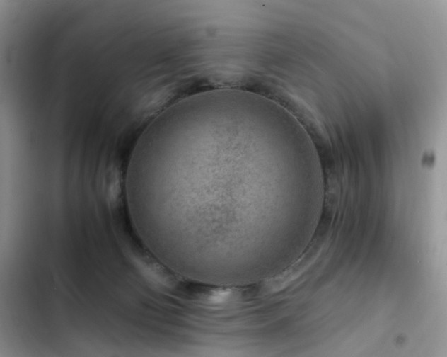 X0000103160130200808221403