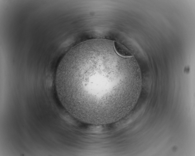 X0000103160131200808221403