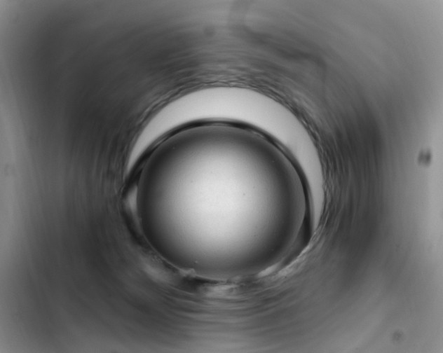 X0000103160132200808221403