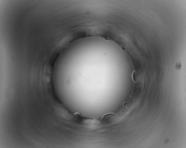 X0000103160133200808221403