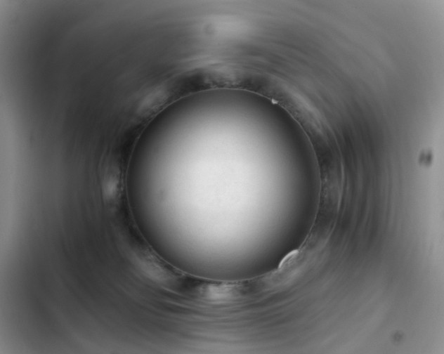 X0000103160134200808221403