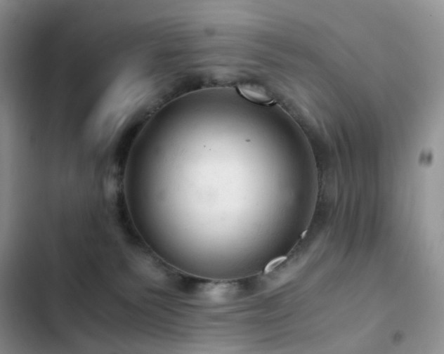 X0000103160135200808221403