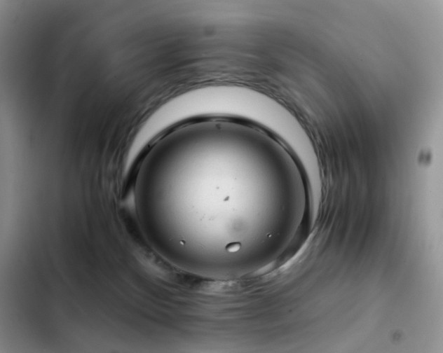 X0000103160136200808221403