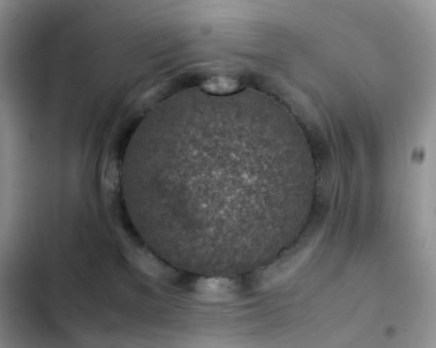 X0000103160137200808221403
