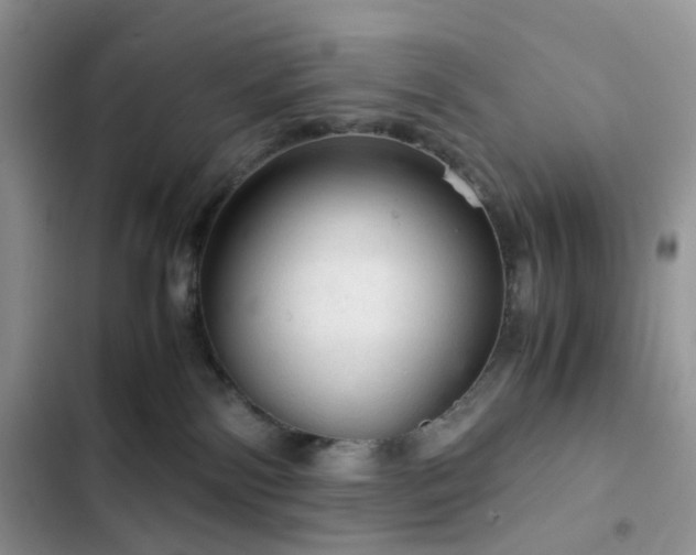 X0000103160138200808221403