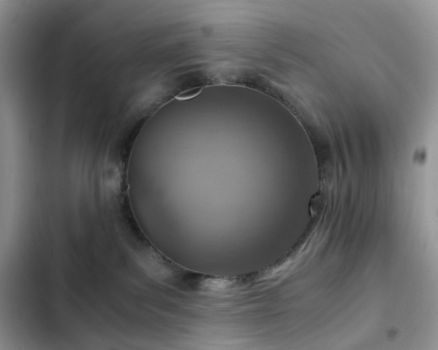 X0000103160139200808221403