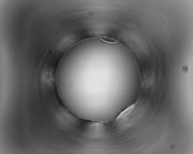 X0000103160140200808221403