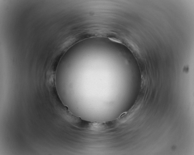X0000103160141200808221402