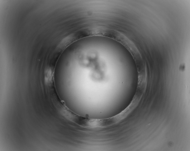 X0000103160142200808221402