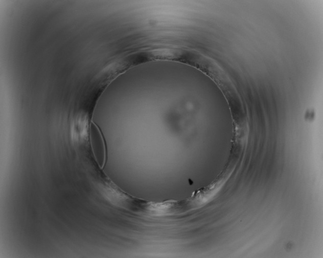 X0000103160143200808221402