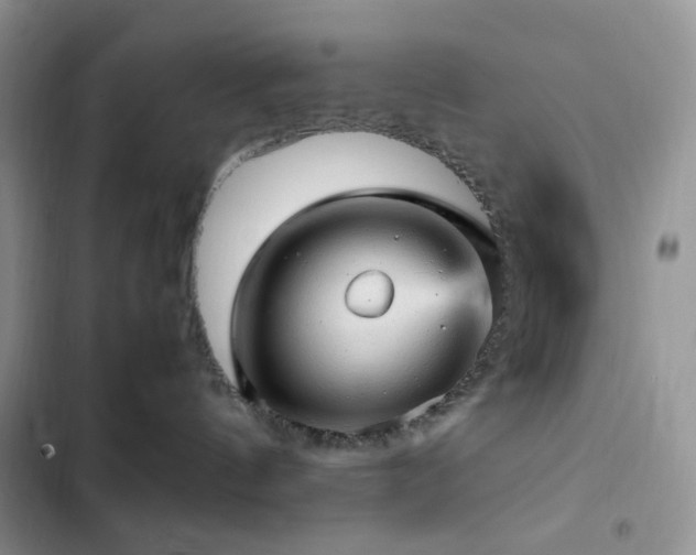 X0000103160144200808221402