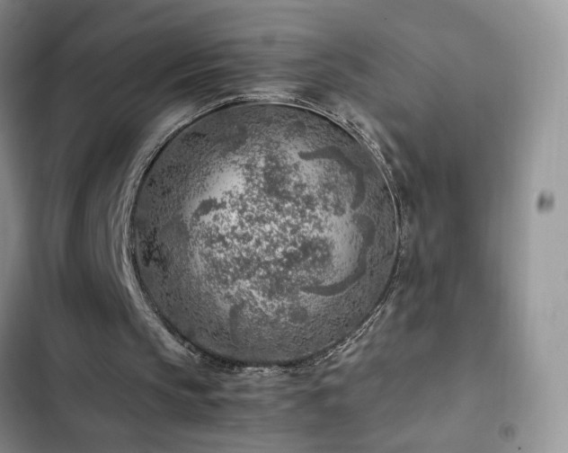 X0000103160145200808221402