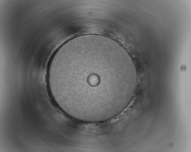 X0000103160146200808221402