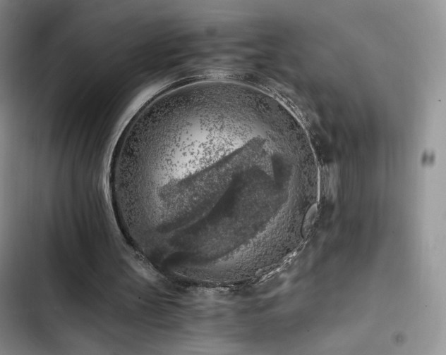 X0000103160147200808221402