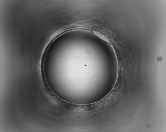 X0000103160148200808221402