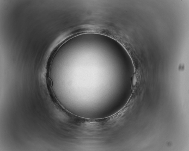 X0000103160150200808221402