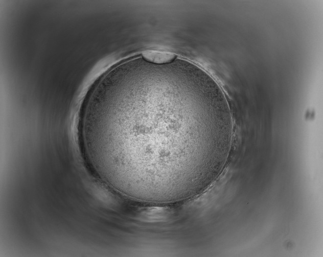 X0000103160151200808221402