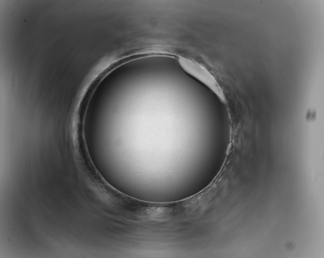 X0000103160152200808221402