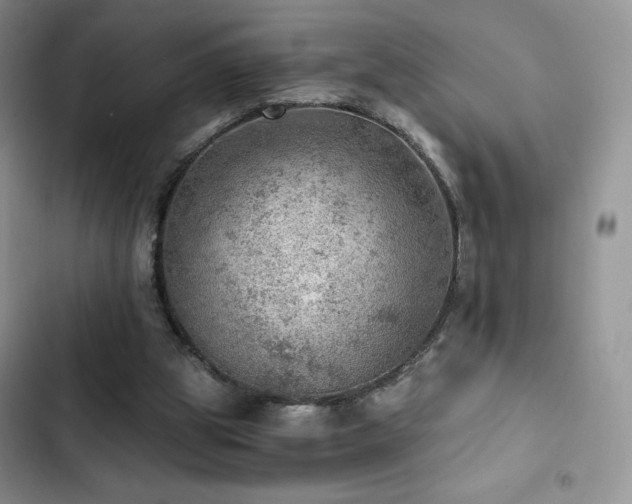 X0000103160153200808221402