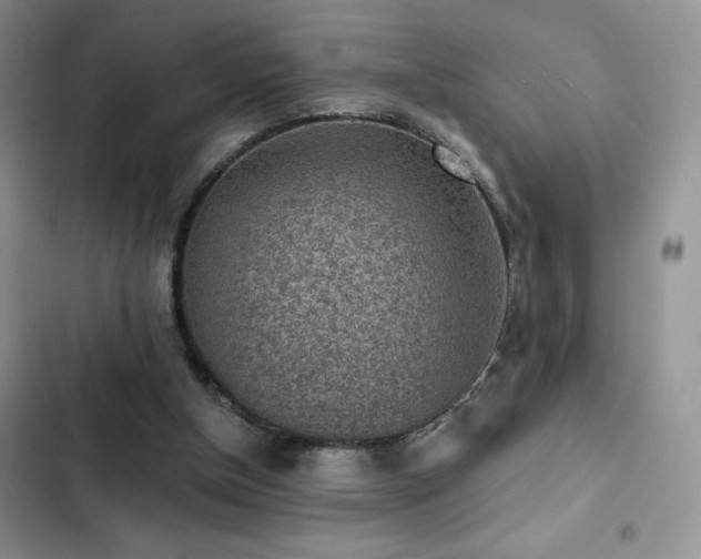 X0000103160154200808221402