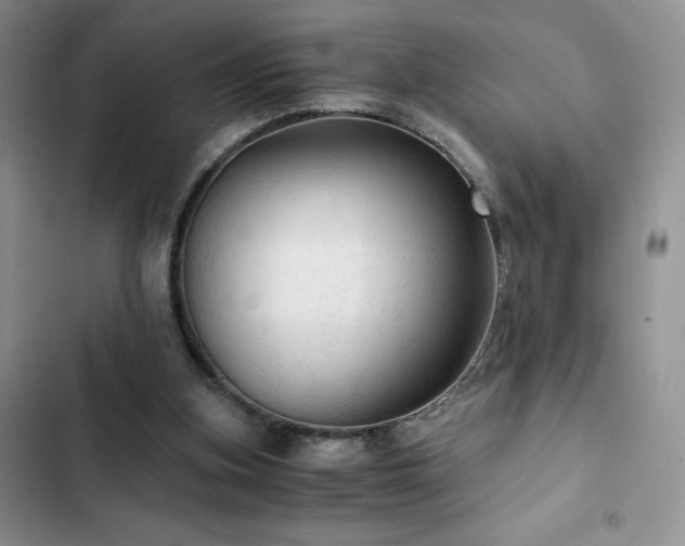 X0000103160155200808221402