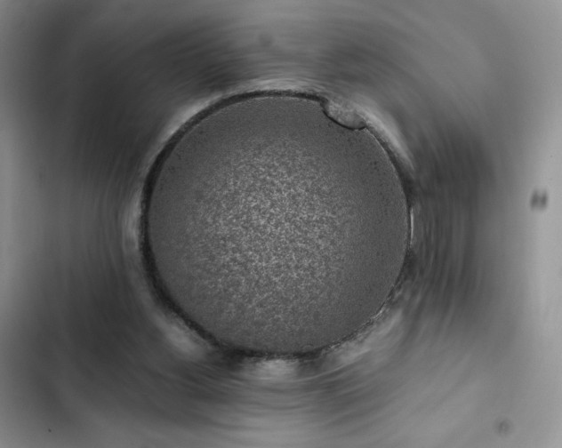 X0000103160156200808221402
