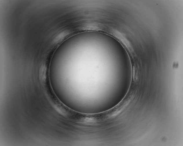 X0000103160157200808221402