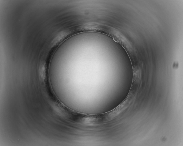 X0000103160158200808221402