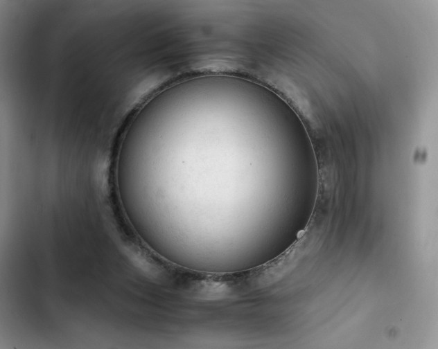 X0000103160159200808221402