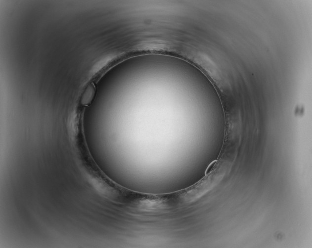 X0000103160160200808221402