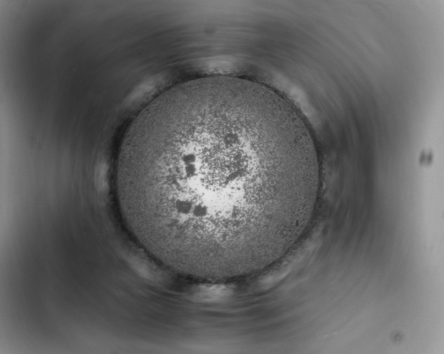 X0000103160161200808221402