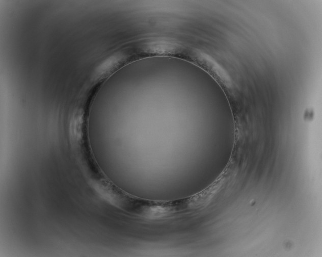 X0000103160163200808221402