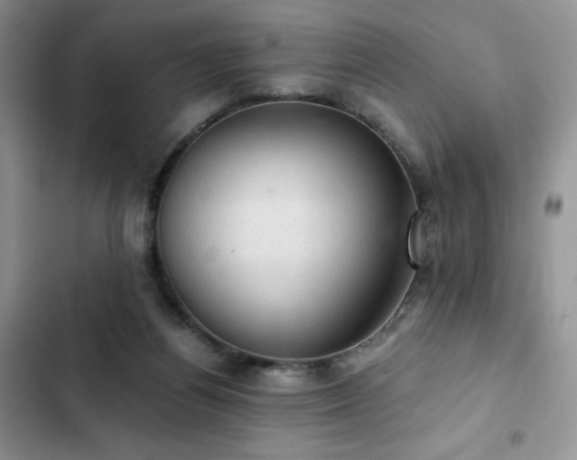 X0000103160164200808221402