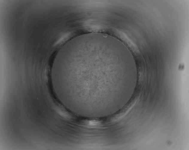 X0000103160165200808221402