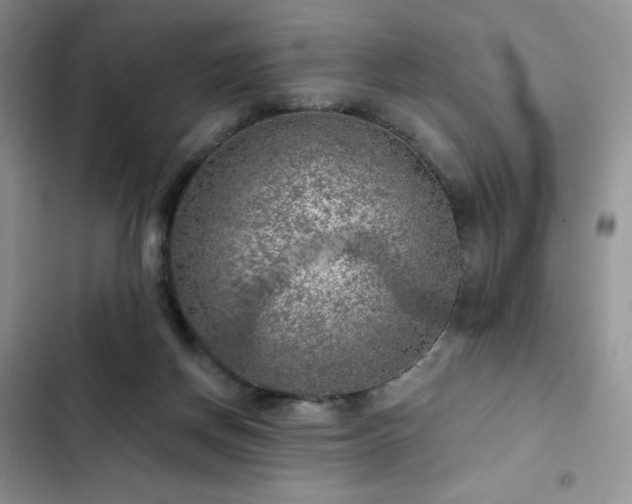 X0000103160166200808221402