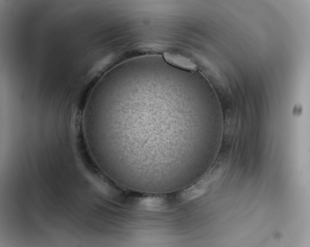 X0000103160168200808221402