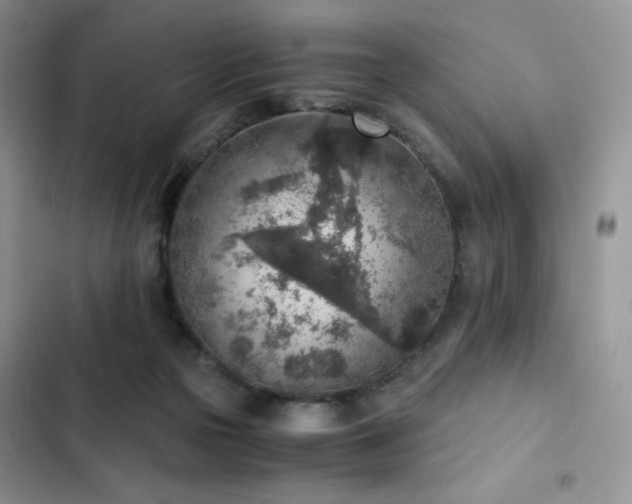 X0000103160169200808221402