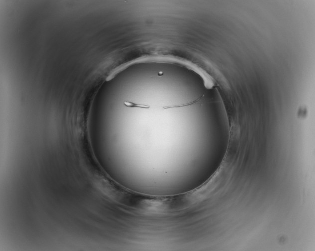X0000103160170200808221402