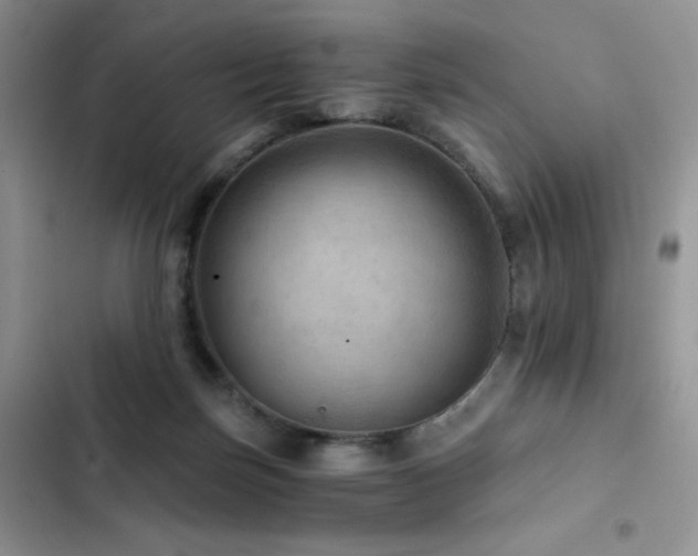 X0000103160171200808221402
