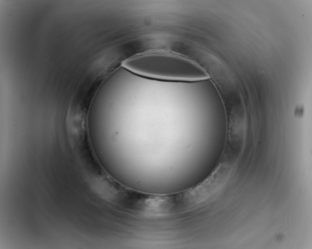 X0000103160172200808221402