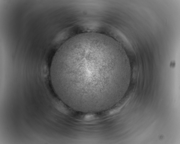X0000103160173200808221402