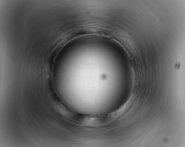 X0000103160174200808221402