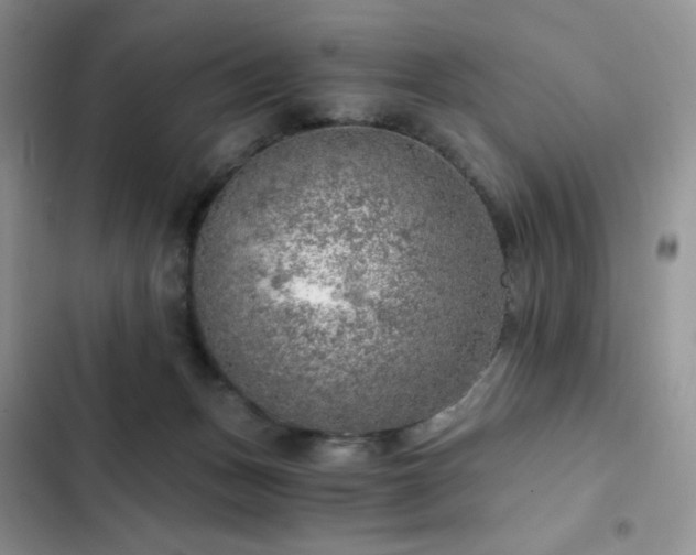 X0000103160175200808221402