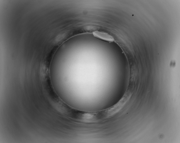 X0000103160176200808221402