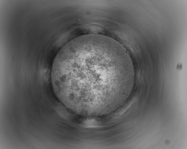 X0000103160177200808221402