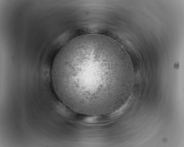 X0000103160178200808221402