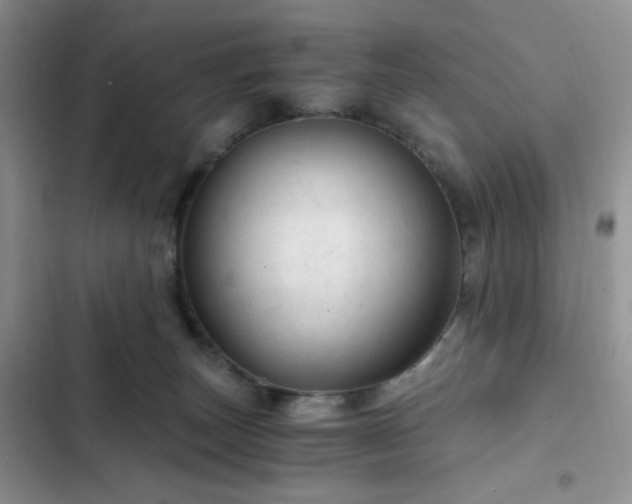 X0000103160179200808221402